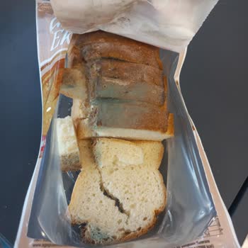 Ege Glutensiz Küflenmiş Ürün Satışı