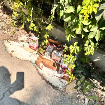 Flora Garden Ephesus Otelinde Çevre Ve Ses Kirliliği Sorunu