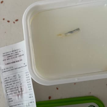 BİM Peynirin İçinde Yabancı Cisim