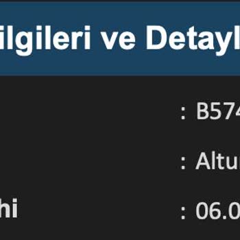 Domino's Pizza Web Sitesinde Yanıltıcı Reklam İçerik Yayınlıyor
