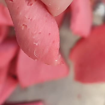 BİM Tombik Salamdan Şikayetçiyim