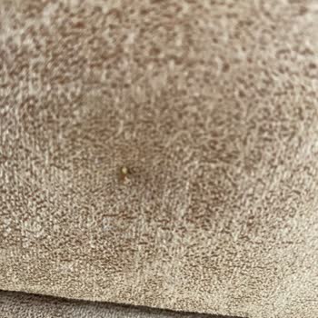 Doğtaş Marisa Koltuk Takımı Pişmanlığı