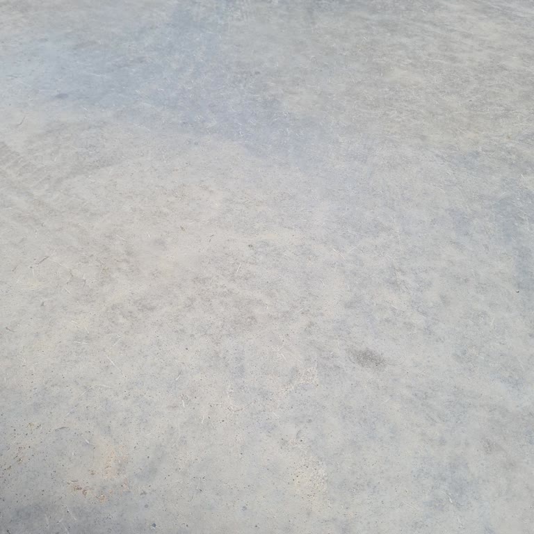 Eminotomotiv Erken Teslimat Ve Kasko Sorunu