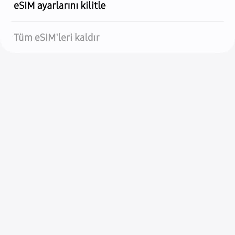 Samsung Telefon Samsung S24 Ultra Sim 2 Arızası