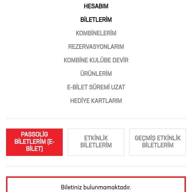 Passolig Transfer Bileti Görünmüyor