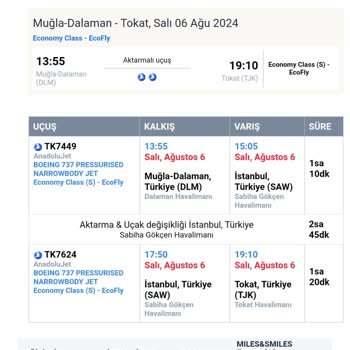 THY Aktarmalı Erken Uçak Bileti Aldım Başıma Gelmeyen Kalmadı!