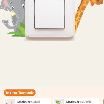 Msticker Trendyol Ve Kargo Süreci