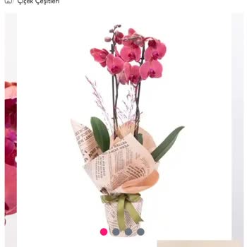 Osevio.com Farklı Yanlış Ürün