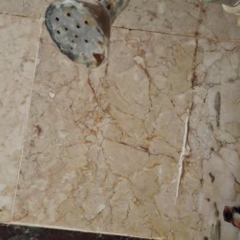 Ilgın Belediyesi Villa Apartlar'daki Kötü Durum Ve Hijyen Sorunları