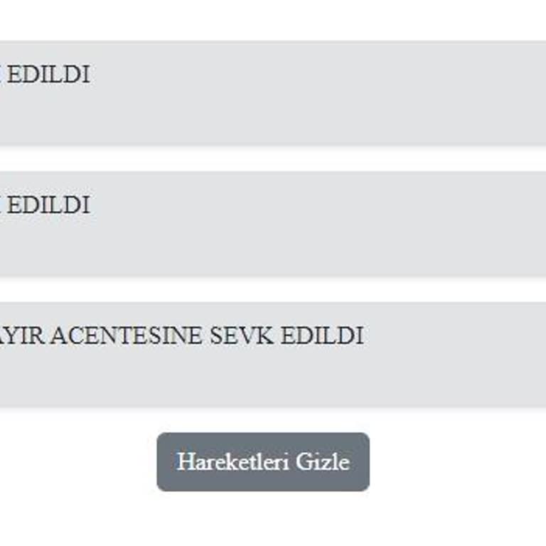 Kuryenet - Panayır Acente Teslim İşlemi