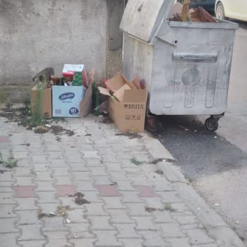 A101 Mağazasının Çöp Konteynerine Et Atması Rahatsızlık Veriyor