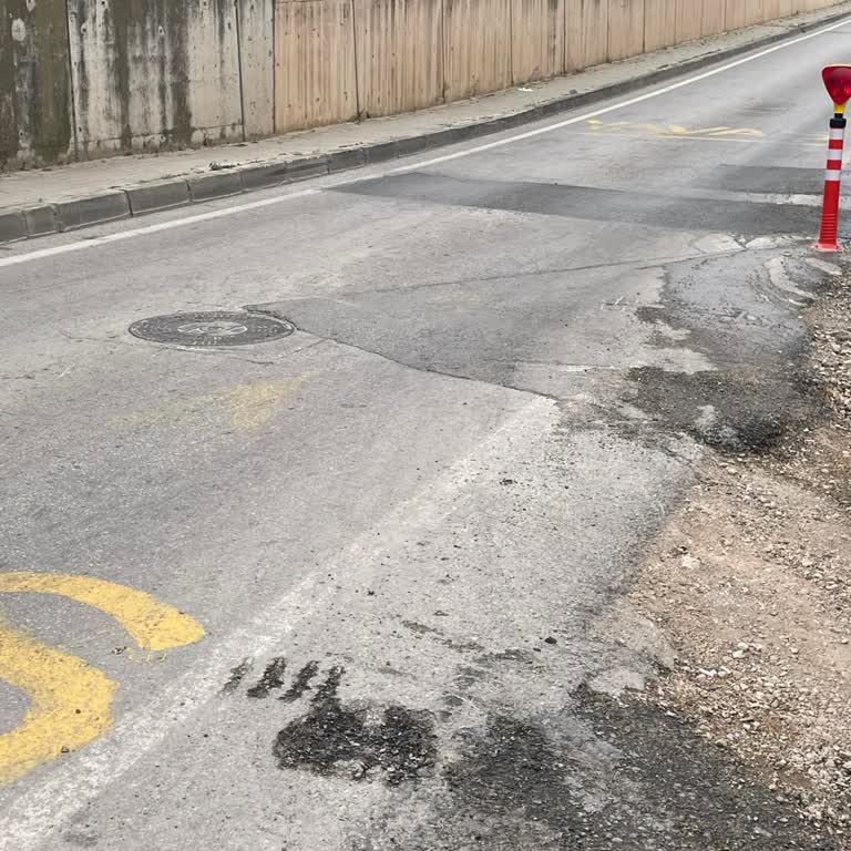 Osmangazi Belediyesi Patates Tarlası Tadında Osmangazi Yolları