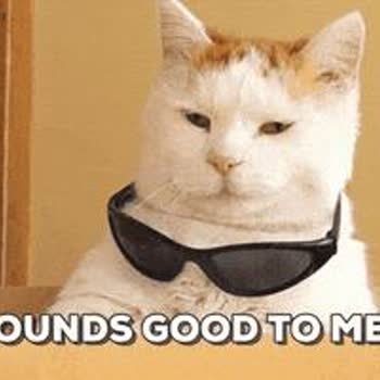 Ahtapot Eğlence Merkezi Beni Sen Sinir Ettin Marul Kafa