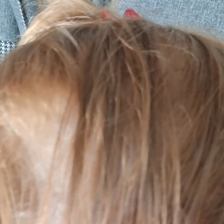 Palette 12 21 Şikayet