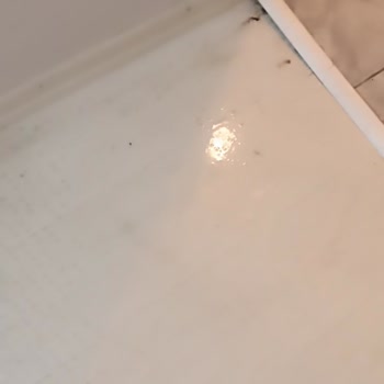 Vestel Paramla Rezil Oldum