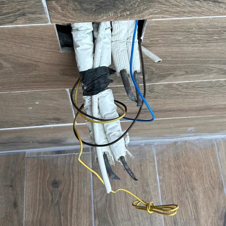 Vestel Klima Pişmanlıktır, Yetkili Servis 5.000 TL Ek Ücret İstiyor