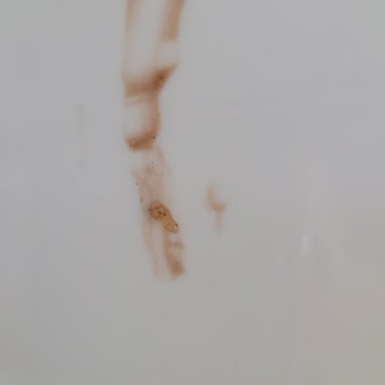 Algida Frigola Dan Kurt Çıktı