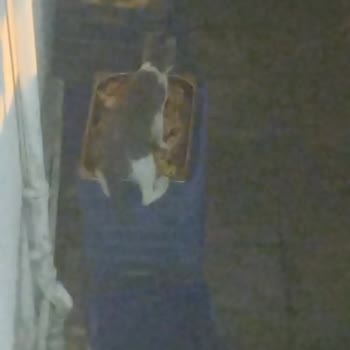 Belmare Hotel Belmare Otel'de Hijyen Ve Hizmet Sorunları