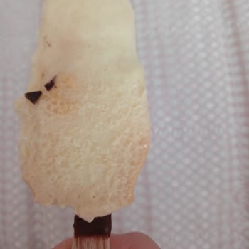Magnum Mini Dondurmaların Kalitesi Hayal Kırıklığı Yarattı