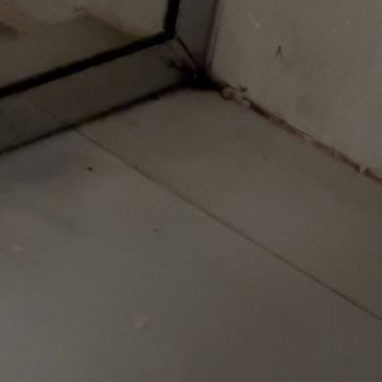 Delta Hotels Marriott Bodrum Delta Hotels Marriot Hayal Kırıklığı