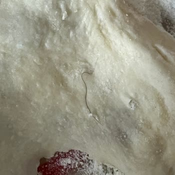 Çetinler Unlu Mamülleri Hijyen Olmayan Fırınlar Pastaneler Kapatılsın