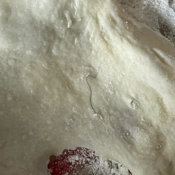 Çetinler Unlu Mamülleri Hijyen Olmayan Fırınlar Pastaneler Kapatılsın