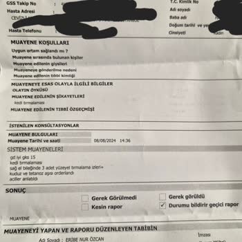Hilltown Küçükyalı Yemek Bölümünde Kedi Saldırısı