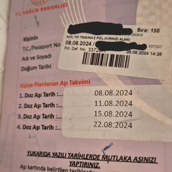 Hilltown Küçükyalı Yemek Bölümünde Kedi Saldırısı