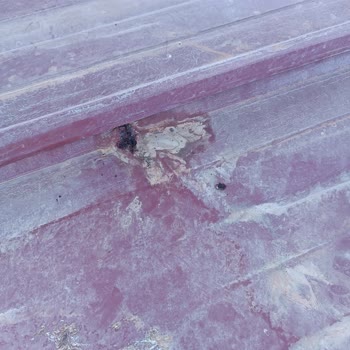 Mekpan Panel Mek Sandviç Panel