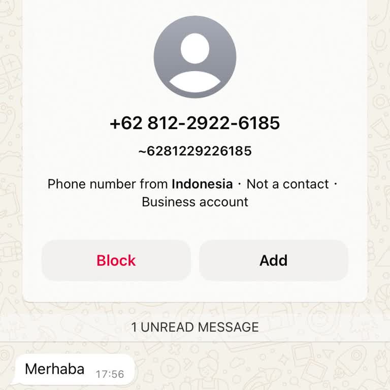 WhatsApp 08.08.2024 Te +62 Li No'dan Merhaba Mesajı Aldım