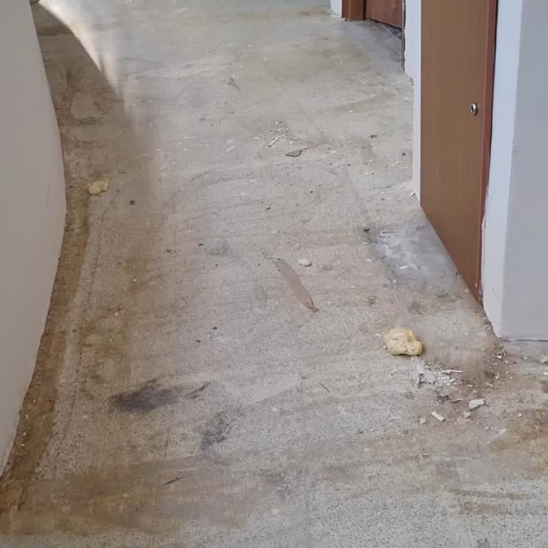 Queen Resort Alanya Ödeme İadesi Sorunu Ve İletişim Eksiklikleri