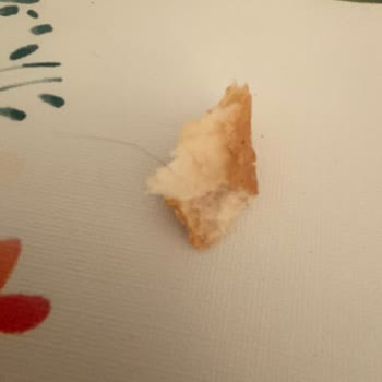Migros Ekmekte Kıl Çıktı!