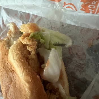 Popeyes Hamburgerimde Böcek Çıktı