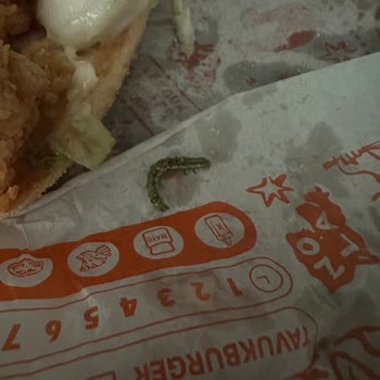 Popeyes Hamburgerimde Böcek Çıktı