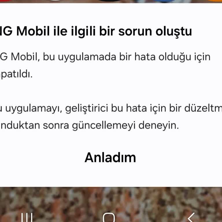 ING Mobil Uygulama Hatası