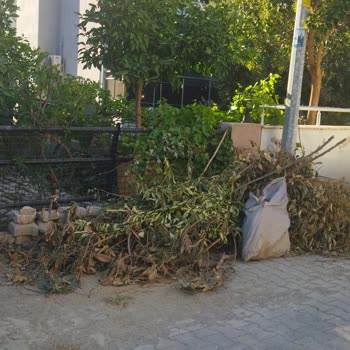 Seferihisar Belediyesi Sığacık 152 Sokakta Bahçe Atıkları