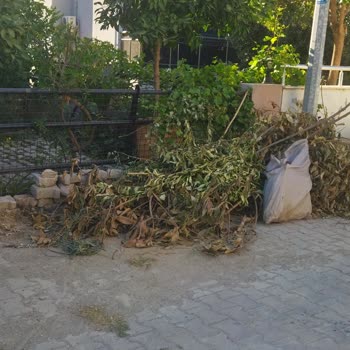 Seferihisar Belediyesi Sığacık 152 Sokakta Bahçe Atıkları