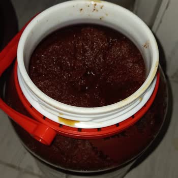 Öncü Salça Simsiyah Tarihi Geçmedi Yeni Açıldı