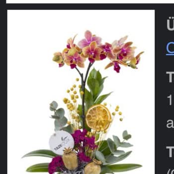 Tazecicek.com Çiçek Olmayan Ot Gönderilmesi