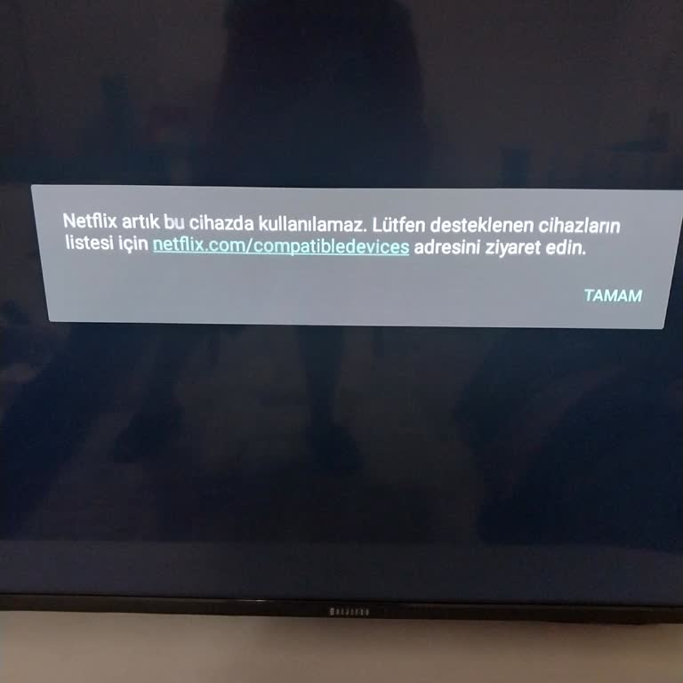 Netflix Desteklemeyen Televizyon Markası