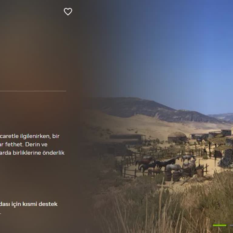 M&B Bannerlord Geforce Now Sorunu