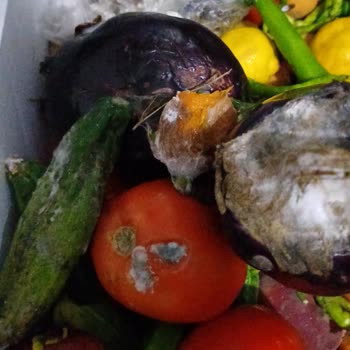 Profilo Buzdolabı Ve Çamaşır Makinesi Sorunlarıyla Mağduriyet