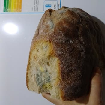 Profilo Buzdolabı Ve Çamaşır Makinesi Sorunlarıyla Mağduriyet