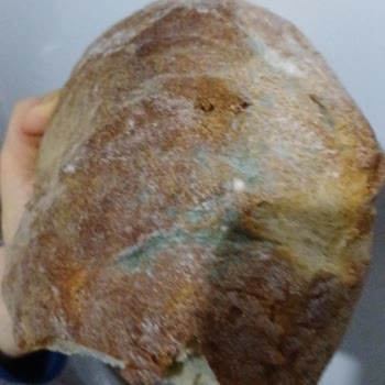 Profilo Buzdolabı Ve Çamaşır Makinesi Sorunlarıyla Mağduriyet