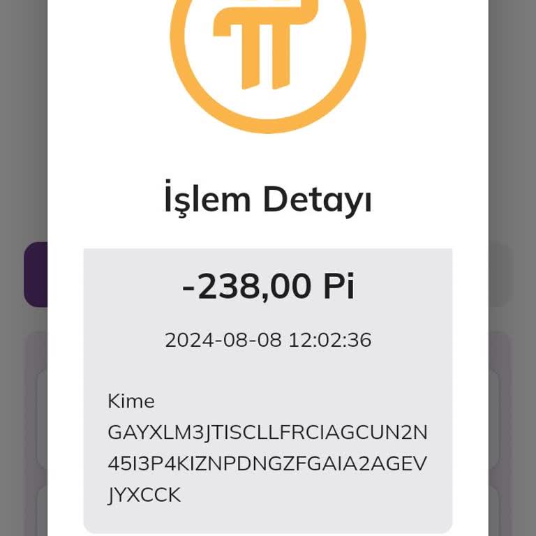 Pi Network Pi Coinlerim Hesabımdan İzinsiz Gönderildi