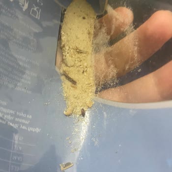 BİM'de Satılan Çekirdeğin İçerisinden Böcek Çıktı