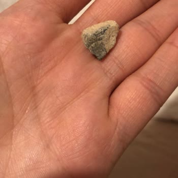 Tadım'ın Beyaz Leblebisinin İçinden Çıkan