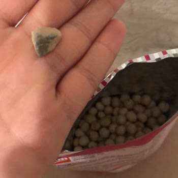 Tadım'ın Beyaz Leblebisinin İçinden Çıkan