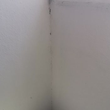 BOTAŞ Yetkililer Sorumlu