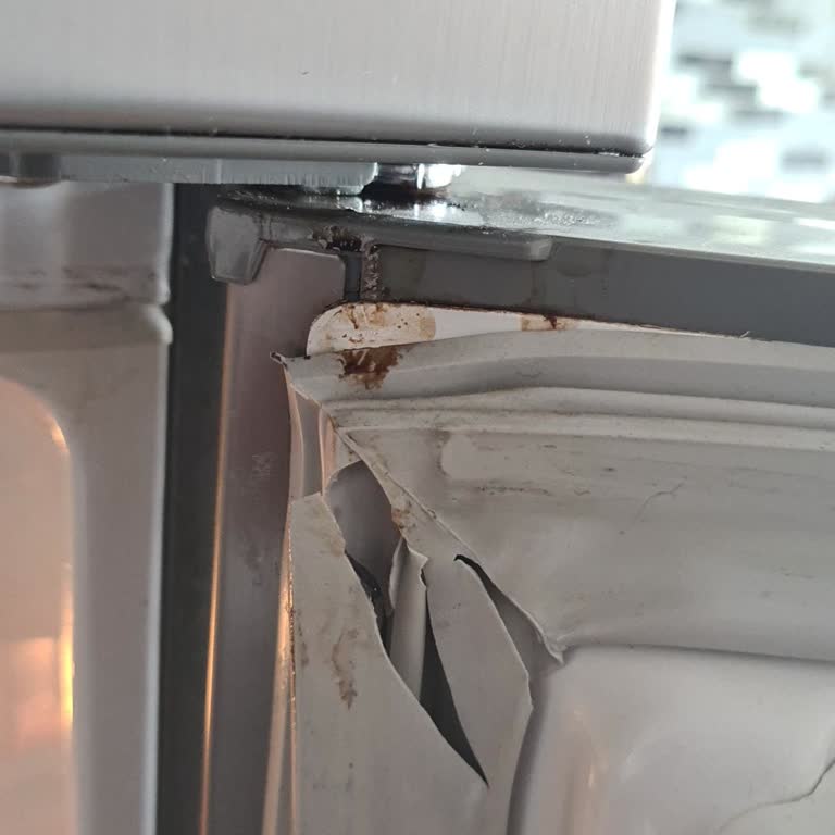 Bosch Otomotiv Bosch Buzdolabı İçin Yedek Parça Sorunu